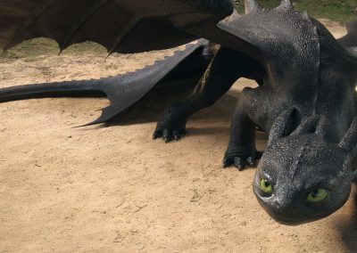 Como entrenar a tu dragon
